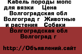 Кабель породы мопс для вязки. › Цена ­ 5 000 - Волгоградская обл., Волгоград г. Животные и растения » Собаки   . Волгоградская обл.,Волгоград г.